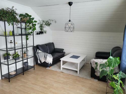 Large, Cozy, Family-friendly Bua Apartment