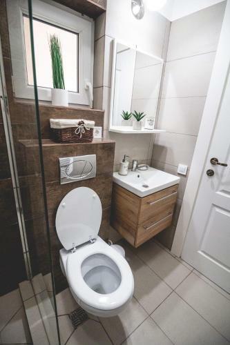Apartamento Mip Studio Central Sibiu