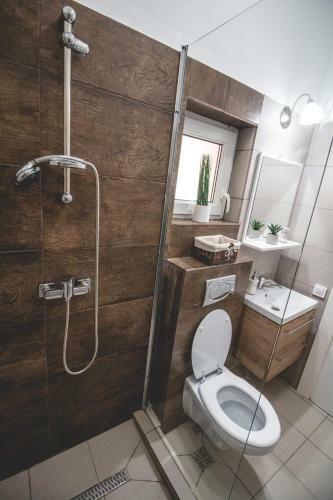 Apartamento Mip Studio Central Sibiu