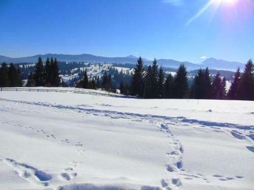 Hostal Sadiba Rozchil