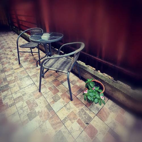 Bed & Breakfast Cazare Timisoara T90