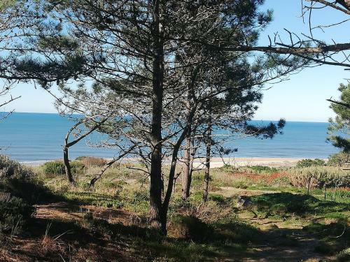 Apartamento Pearl Of Nazar�