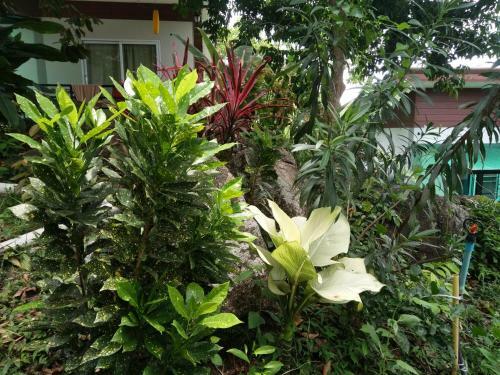 Hostal Seree Mountain View