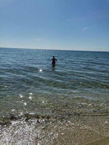 Green Vila