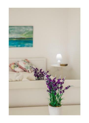 Beautiful Apartment Near The Old Town