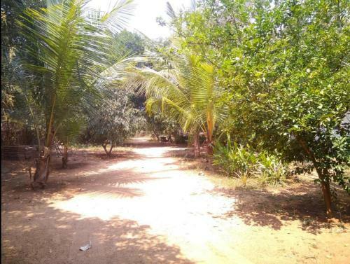 Agroturismo Eden Garden Farm Stay