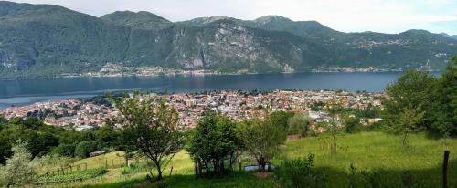 Nido Di Rongio