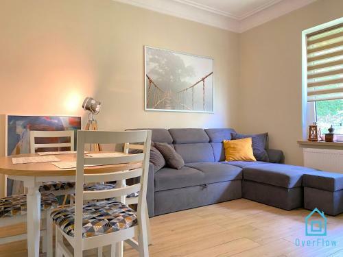 Luxury Apartment