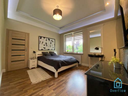 Luxury Apartment