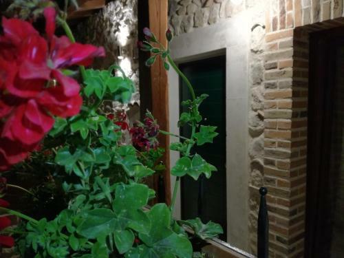 Bed & Breakfast Antico Borgo