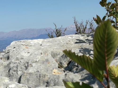 Bed & Breakfast Antico Borgo