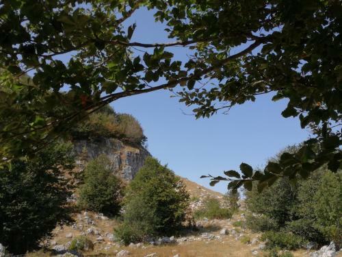 Bed & Breakfast Antico Borgo