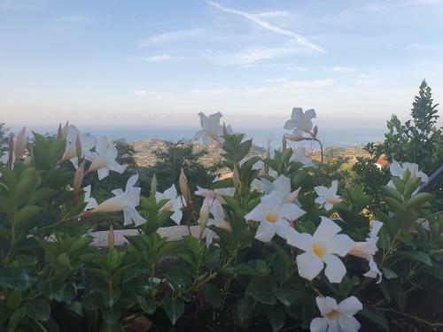 Agroturismo Agriturismo Sant'anna