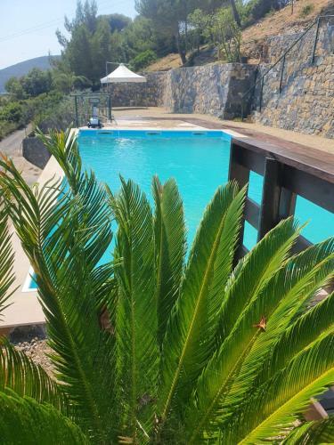 Agroturismo Agriturismo Sant'anna
