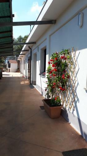 Agroturismo Agriturismo Sant'anna