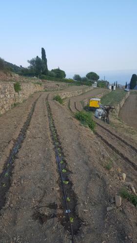 Agroturismo Agriturismo Sant'anna