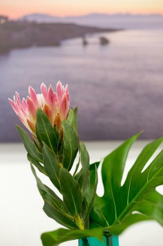 Apartamento Holiday House Da Vinci