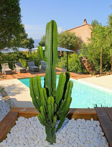 Villa Luxe Vue Mer