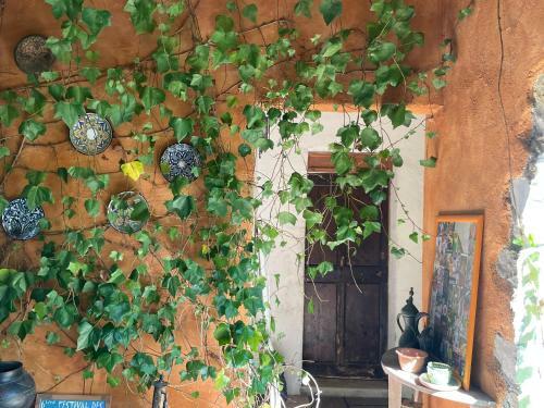 Hostal L?ostal - Maison Boh�me En Pic St Loup
