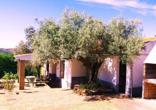Cortijo "era Grande 2"