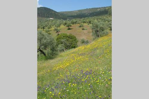 Cortijo "era Grande 2"