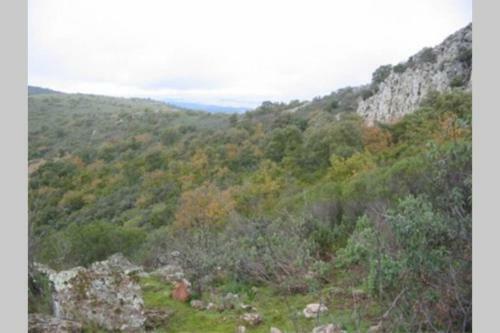 Cortijo "era Grande 2"