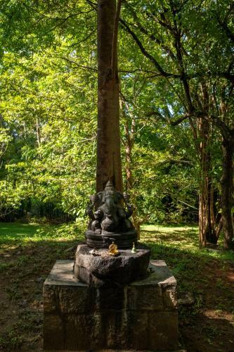 Villa The River House Dambulla By The Serendipity Collection