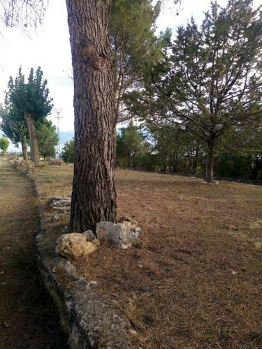 Apartamento Los Tobares