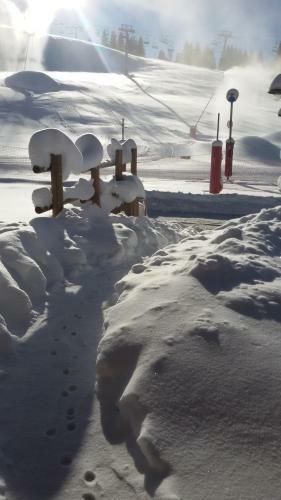 Chalet Hotel La Croix Blanche