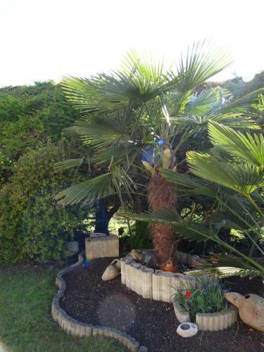 Bed & Breakfast Soleil De Nacre