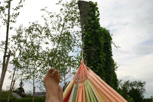 Bed & Breakfast Le Briou