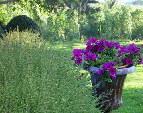 Bed & Breakfast Chateau De Thegra
