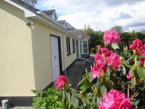 Harbour View B&B