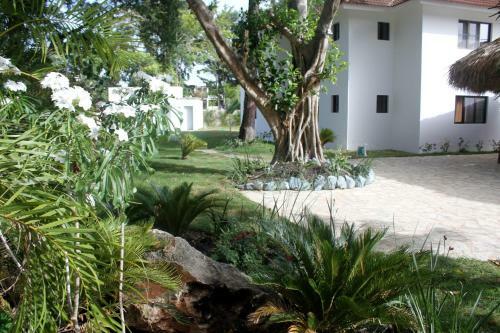 Coral Blanco Hotel