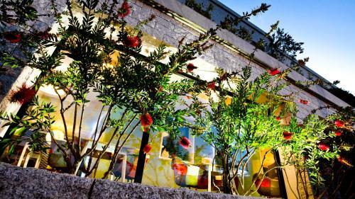 Hotel Rossi H�tel Fior Di Ribba