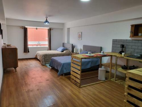 Espaciosos Y Lindos Mini Apartamentos