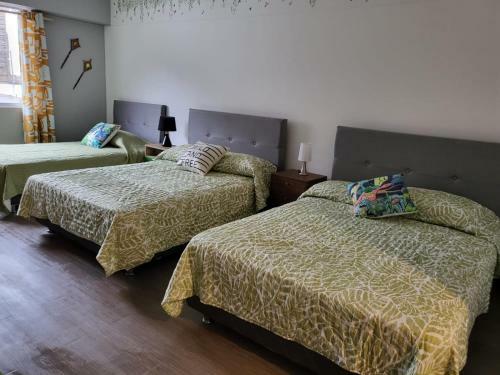 Espaciosos Y Lindos Mini Apartamentos
