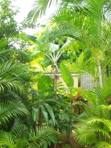 Apartamento Villa Florie Condo - Economic Accommodations