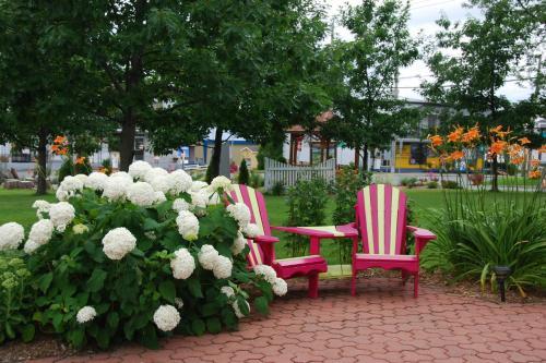 Bed & Breakfast G�te Aux D�lices Des Caprices