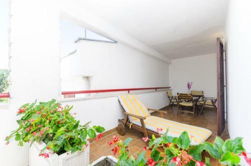 Apartments Pavo