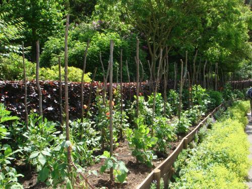 Elckerlyck Inn Hotel