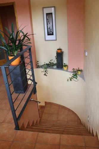 Inter Hostel Liberec