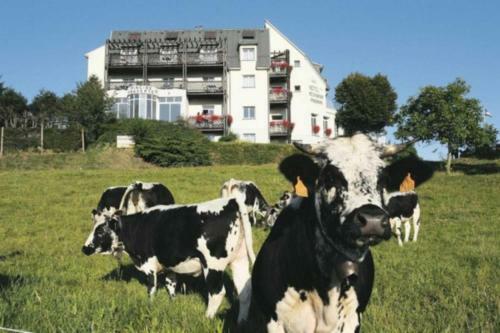 Hotel H�tel Panorama