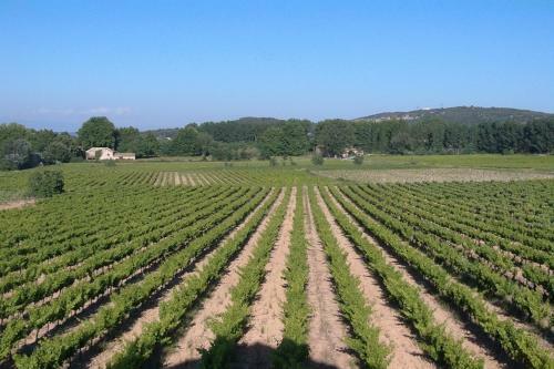 Bed & Breakfast Mas De La Treille