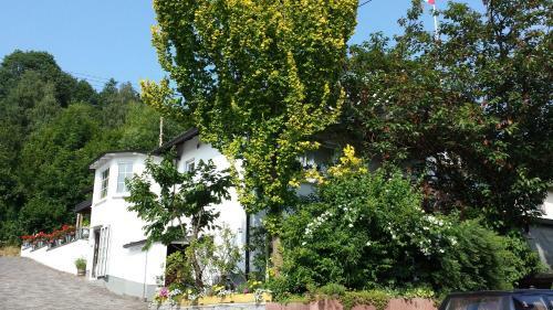 Apartamento Ferienwohnung Bilstein