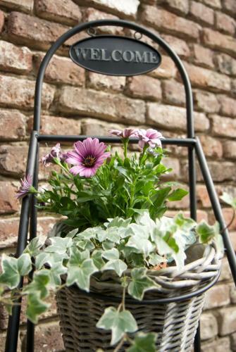 B&B La Ferme De Berwausault