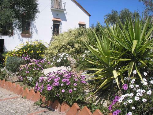 Casa Rural "el Carrasca"