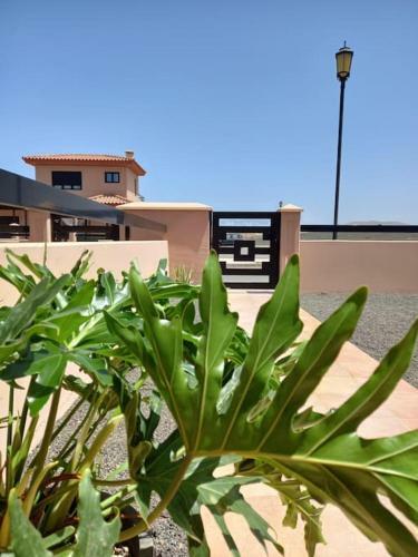 Villa Naya Fuerteventura