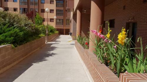 Apartment Madrid Barajas