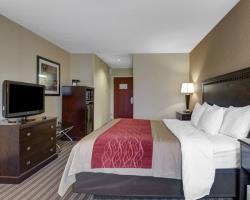 Hotel Comfort Inn Boston/woburn